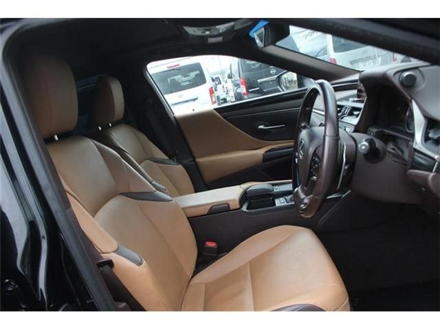 LEXUS ES300h