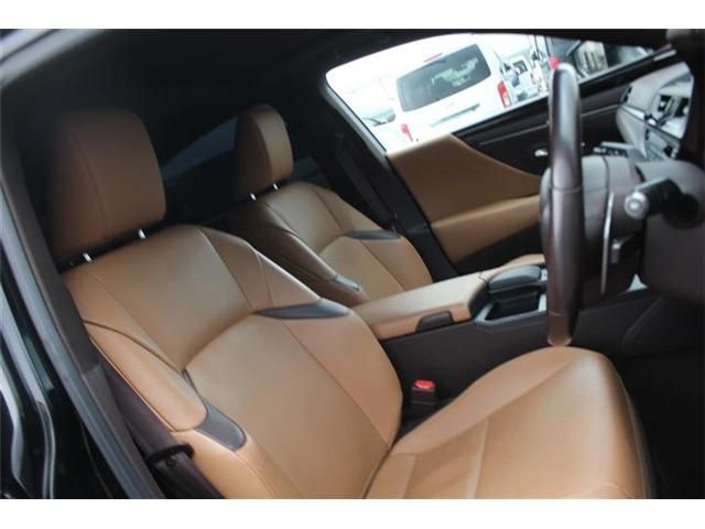 LEXUS ES300h