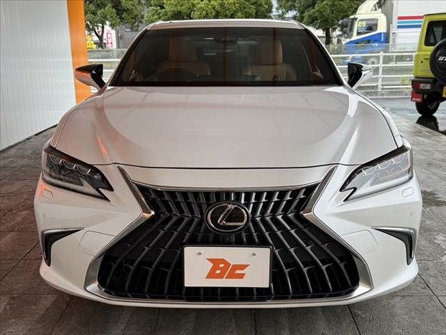 LEXUS ES300h
