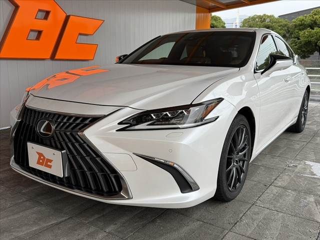 LEXUS ES300h