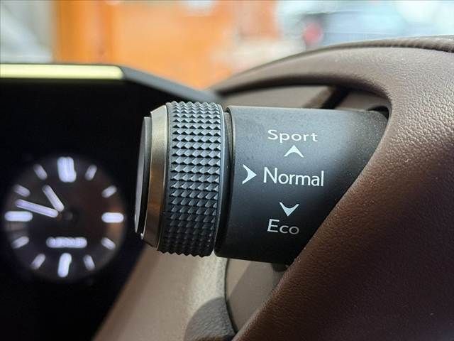 LEXUS ES300h