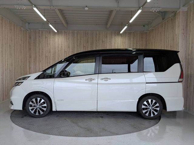 SERENA  S-HYBRID