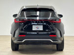 LEXUS NX350h