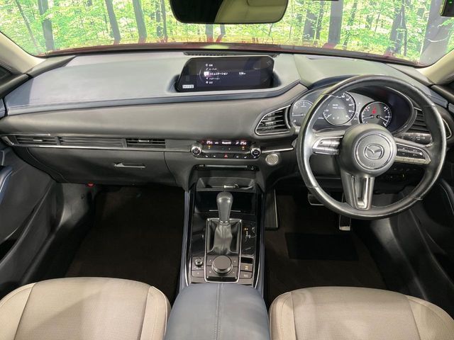 CX-30
