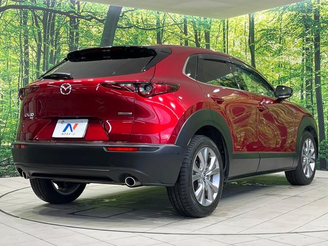 CX-30