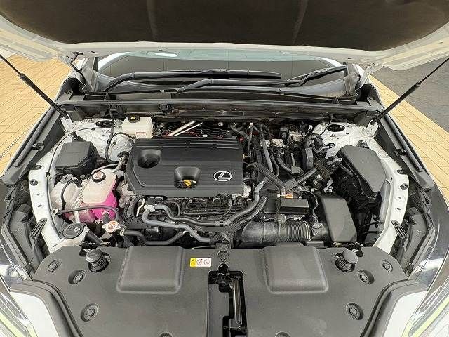 LEXUS NX350h