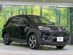 RAIZE HYBRID