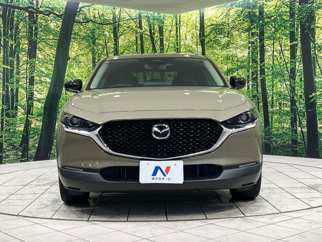 CX-30