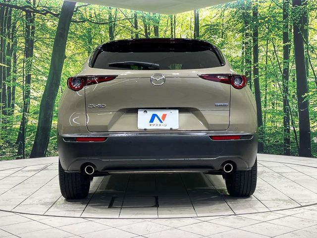 CX-30