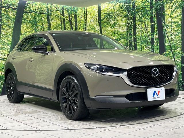 CX-30