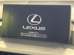 LEXUS NX300h