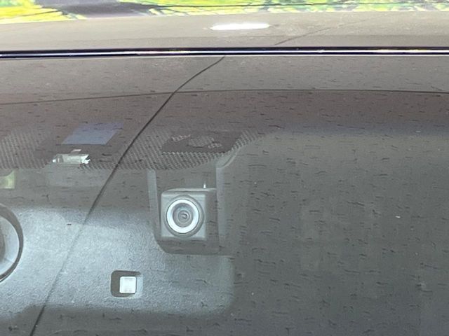 LEXUS NX300h