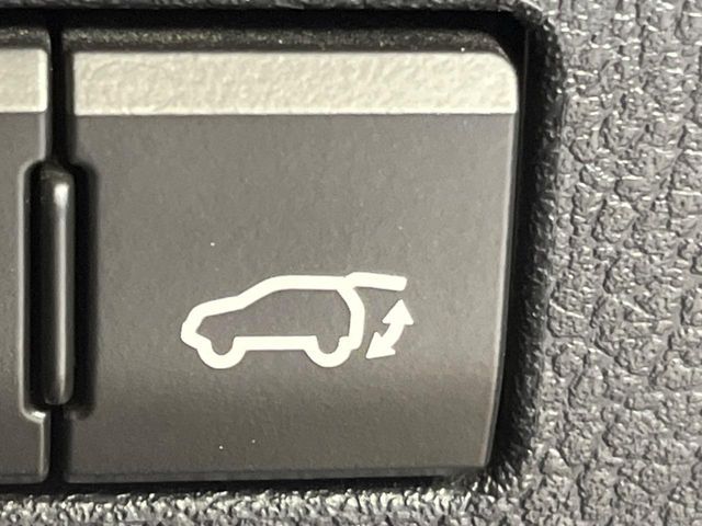 LEXUS NX300h