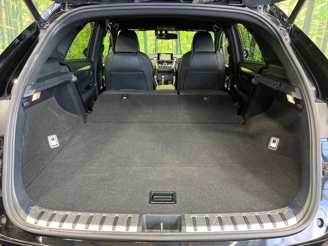 LEXUS NX300h