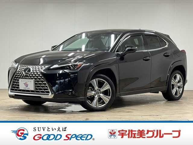 LEXUS UX250h
