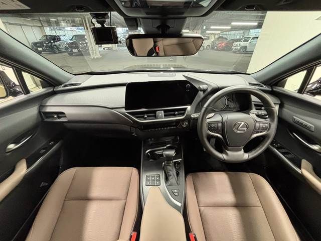 LEXUS UX250h