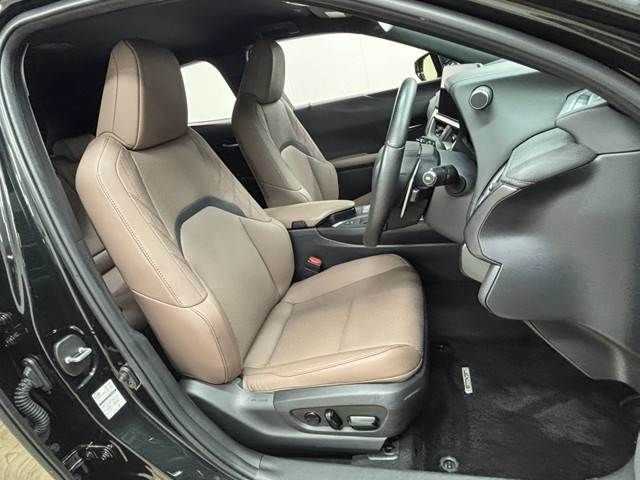 LEXUS UX250h