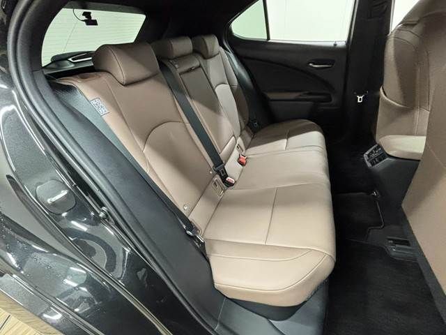 LEXUS UX250h