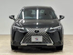 LEXUS UX250h