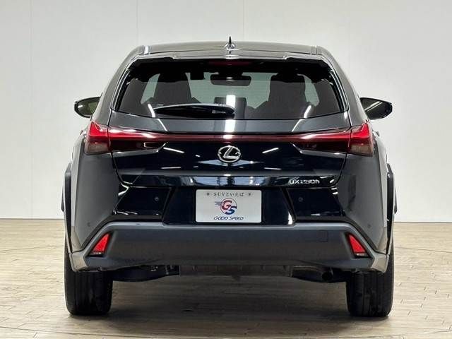 LEXUS UX250h