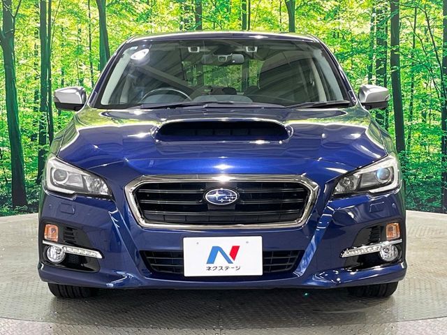 LEVORG