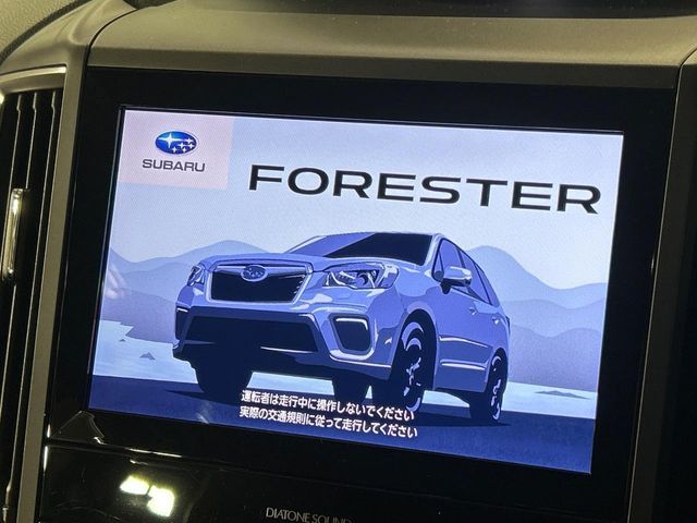 FORESTER