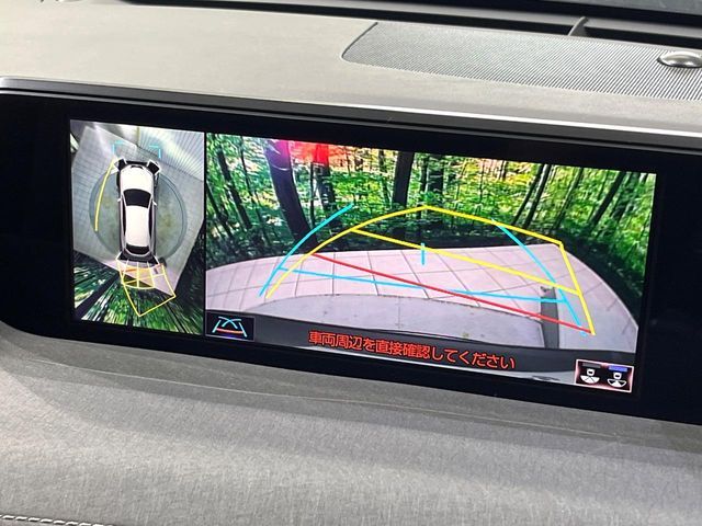 LEXUS UX250h AWD