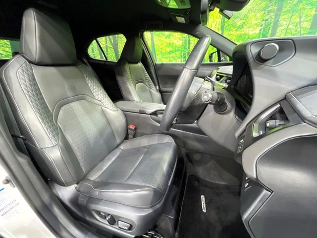LEXUS UX250h AWD