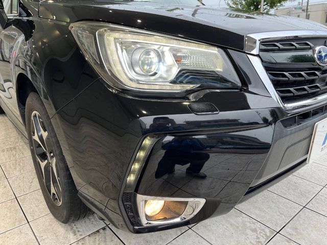 FORESTER