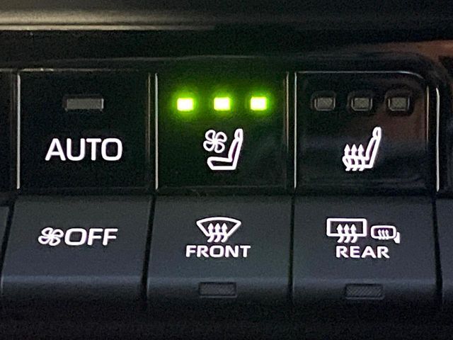 CROWN SPORT