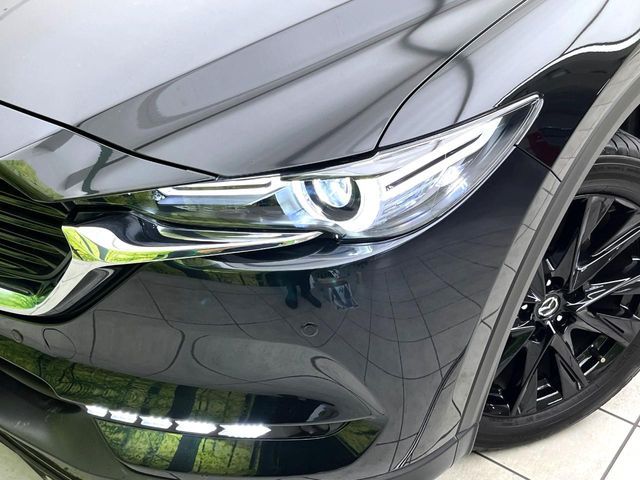 CX-8