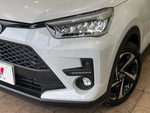 RAIZE HYBRID