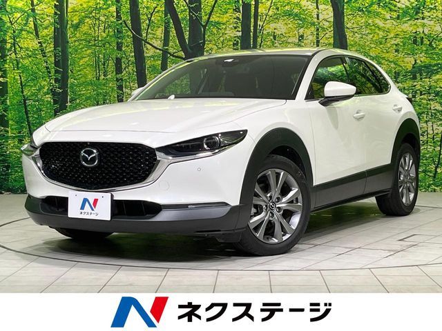 CX-30