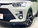 RAIZE HYBRID
