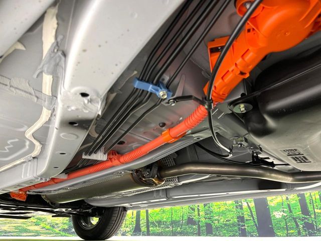 RAIZE HYBRID