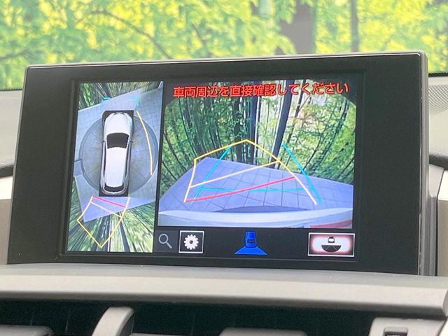LEXUS NX300h