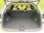 LEXUS NX300h