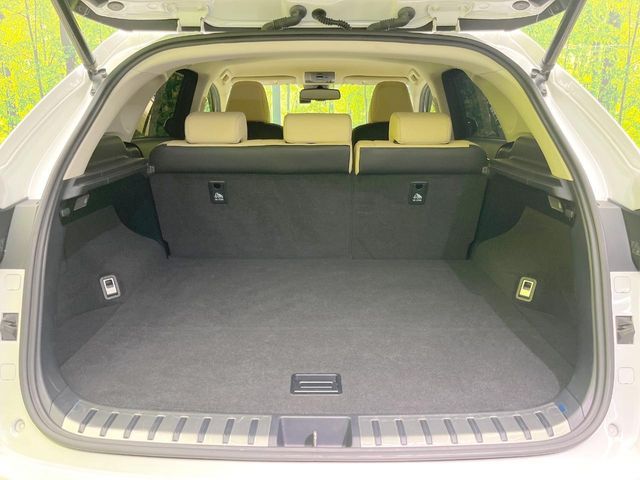 LEXUS NX300h