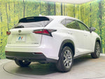 LEXUS NX300h