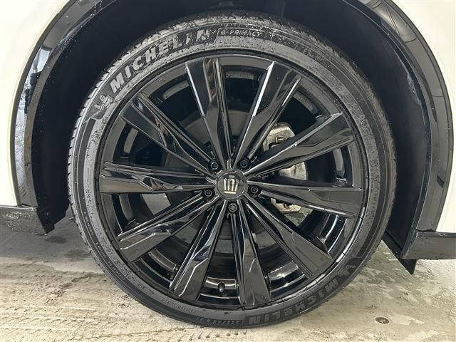 CROWN SPORT