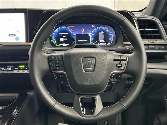 CROWN SPORT