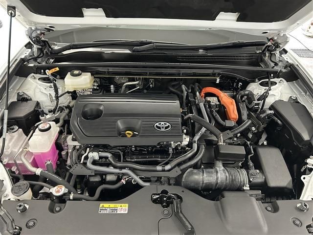 CROWN SPORT