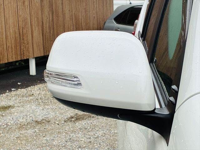 LANDCRUISER PRADO