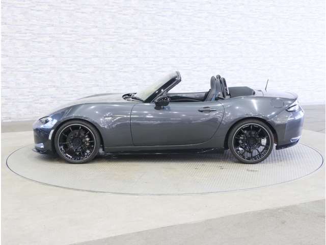 ROADSTER