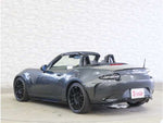 ROADSTER