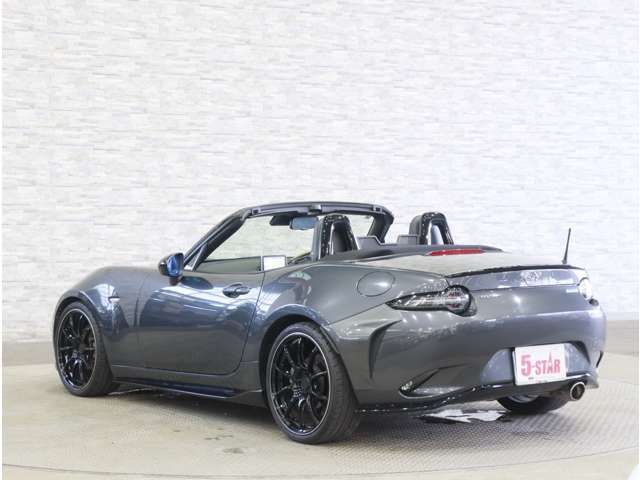 ROADSTER