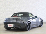 ROADSTER