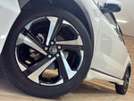 RAIZE HYBRID