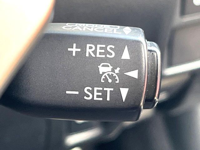 LEXUS RC300h