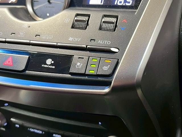 LEXUS NX300